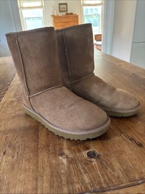 Classic Suede Short Winter Boots in Chestnut